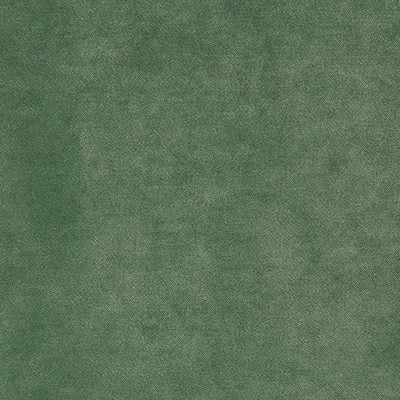 Novel Vancouver Mint