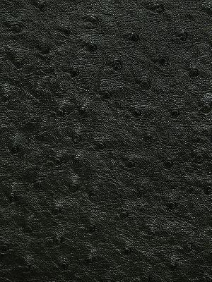 Pindler and Pindler 1008 Micah Ebony