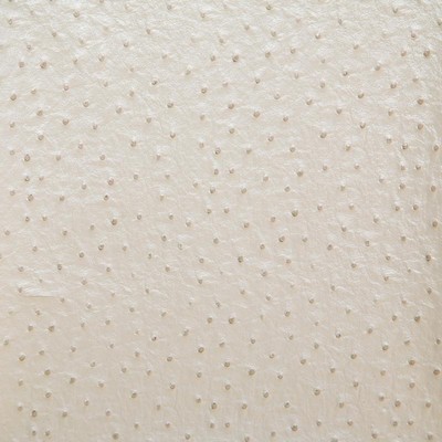 Pindler and Pindler Micah Pearl