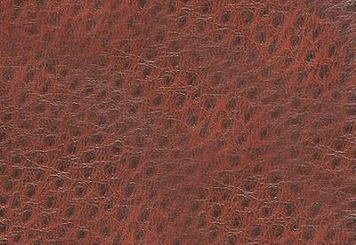 Pindler and Pindler 1014 Outback Berry