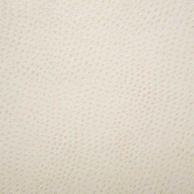 Pindler and Pindler Outback Bisque