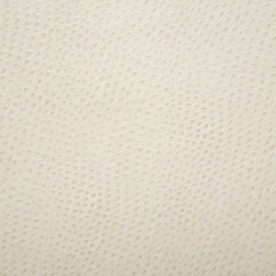 Pindler and Pindler Outback Bisque
