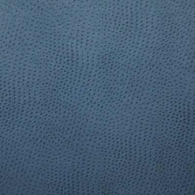 Pindler and Pindler Outback Bluebell