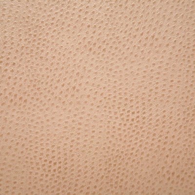 Pindler and Pindler Outback Cameo