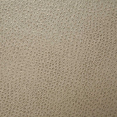 Pindler and Pindler Outback Cement