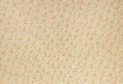 Pindler and Pindler 1014 Outback Fawn