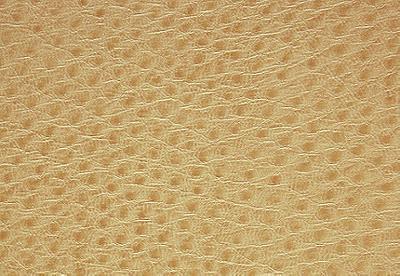 Pindler and Pindler 1014 Outback Flax