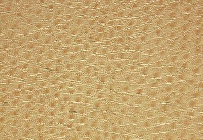 Pindler and Pindler 1014 Outback Flax