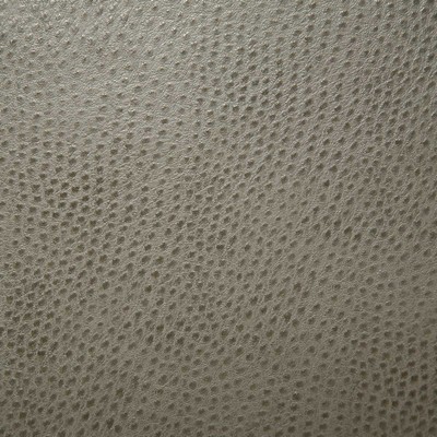 Pindler and Pindler Outback Jasper