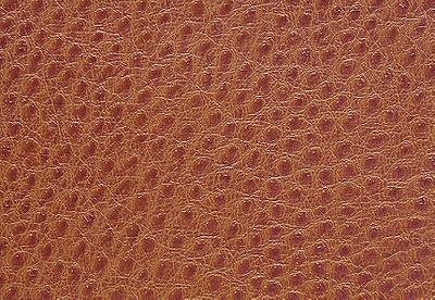 Pindler and Pindler 1014 Outback Rust