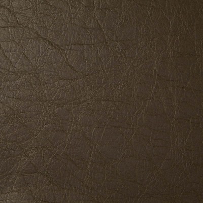 Pindler and Pindler Caballero Brown