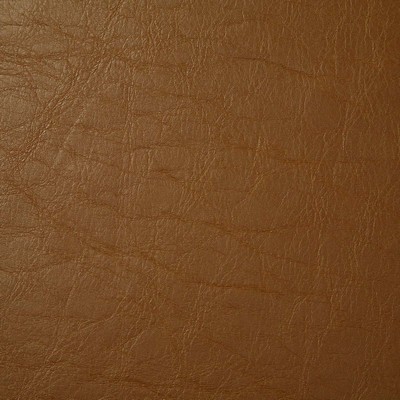 Pindler and Pindler Caballero Cognac