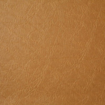 Pindler and Pindler Caballero Tan