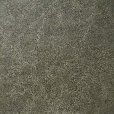 Pindler and Pindler Elliot Ash