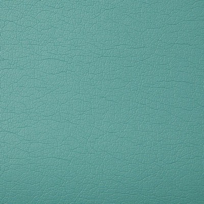 Pindler and Pindler Supple Aruba