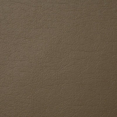 Pindler and Pindler Supple Brownstone