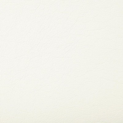 Pindler and Pindler Supple Cloud