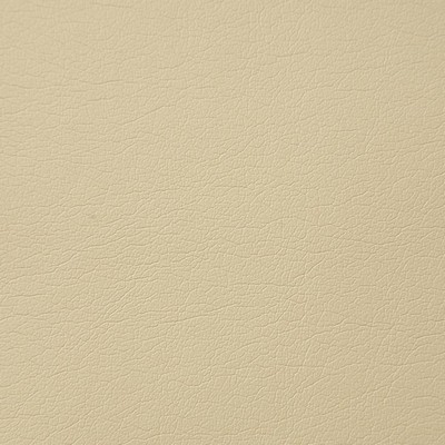 Pindler and Pindler Supple Dune