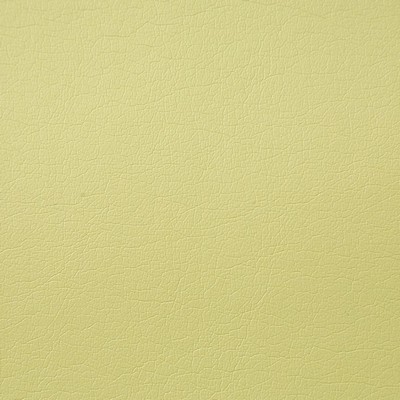 Pindler and Pindler Supple Honeydew