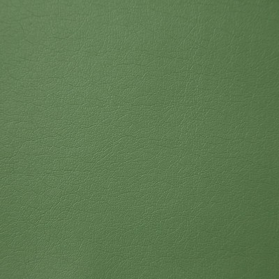 Pindler and Pindler Supple Jade