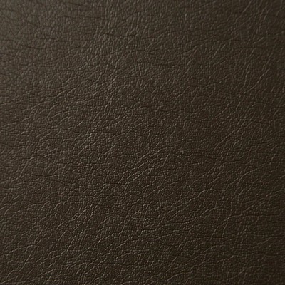 Pindler and Pindler Supple Mink