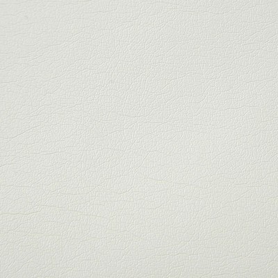 Pindler and Pindler Supple Mist