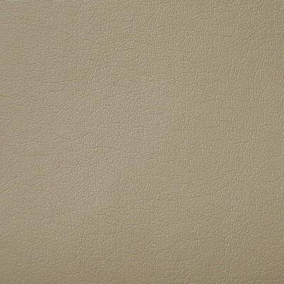 Pindler and Pindler Supple Mushroom