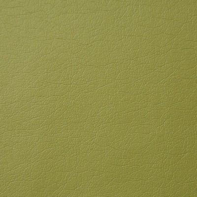 Pindler and Pindler Supple Olive