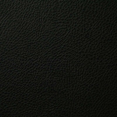 Pindler and Pindler Buckaroo Black