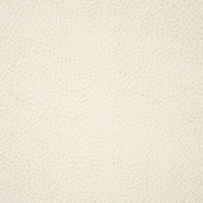 Pindler and Pindler Buckaroo White