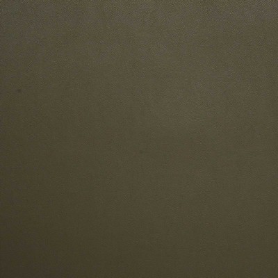 Pindler and Pindler Lange Ash