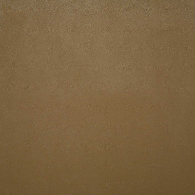 Pindler and Pindler Lange Buckskin