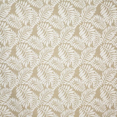Pindler and Pindler 6429 Tropics Hemp