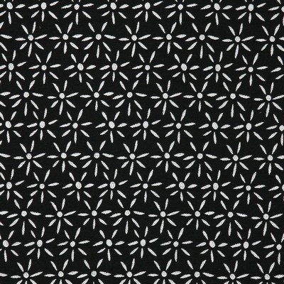 Pindler and Pindler 6534 Newport Domino