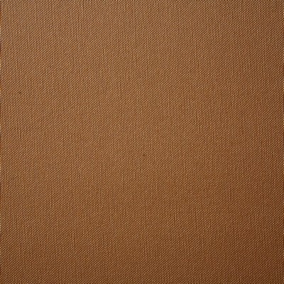 Pindler and Pindler Armas Amber