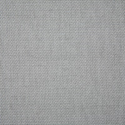 Pindler and Pindler Auger Silver