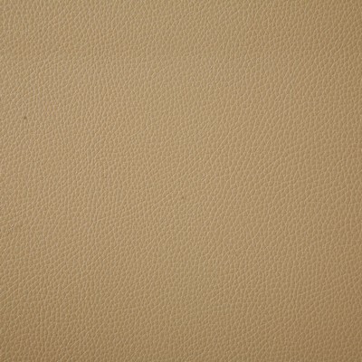 Pindler and Pindler Ambush Camel