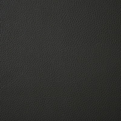 Pindler and Pindler Ambush Charcoal