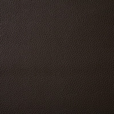 Pindler and Pindler Ambush Cocoa