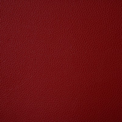 Pindler and Pindler Ambush Ember