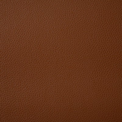 Pindler and Pindler Ambush Tawny