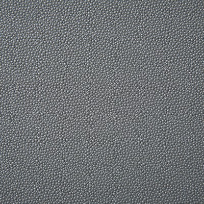 Pindler and Pindler Shagreen Mineral