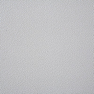 Shagreen Oyster Pindler and Pindler Shagreen Oyster