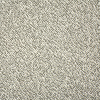 Pindler and Pindler Shagreen Pearl