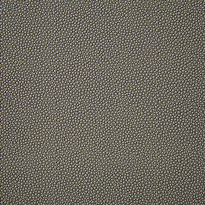 Pindler and Pindler Shagreen Putty