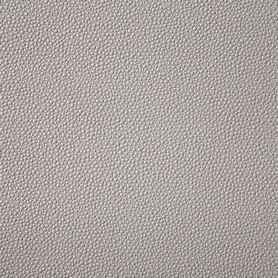 Pindler and Pindler Shagreen Quartz