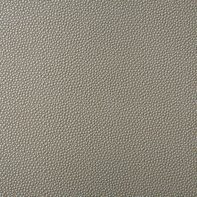 Pindler and Pindler Shagreen Sesame