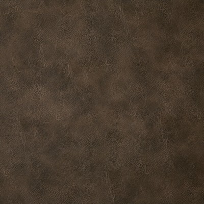 Pindler and Pindler Bandwagon Bark