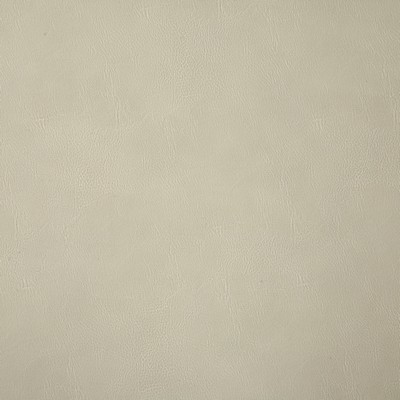 Pindler and Pindler Bandwagon Cream