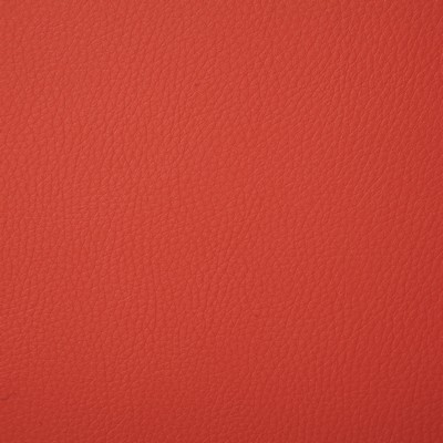 Pindler and Pindler Sullivan Persimmon